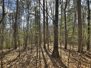 1 Chestnut Gap Rd, Blue Ridge, GA 30513