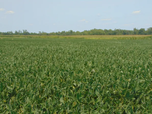 0 State Route 14, Du Quoin, IL 62832
