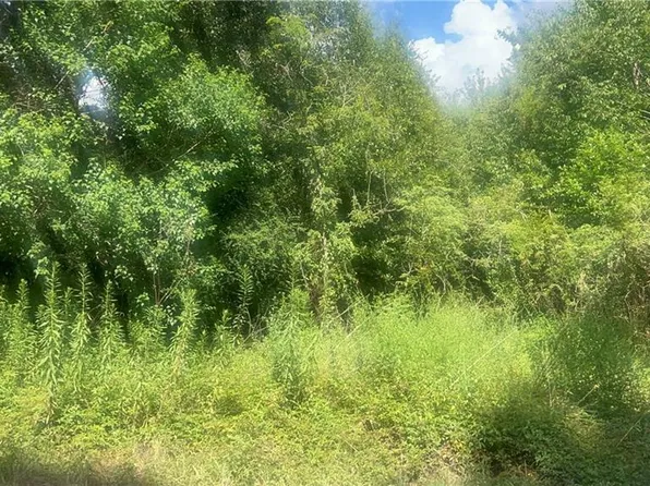 0 Outlaw Rd Lot 1, Eight Mile, AL 36613