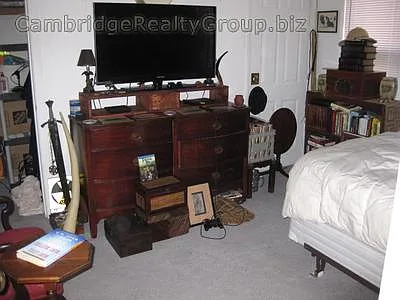 26 Haskell St #2Z — Photo 5
