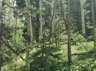 5329 Stock Rd #5329, Fort Garland, CO 81133