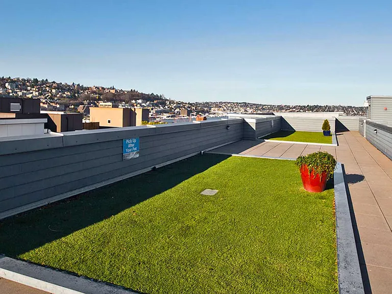 Pet turf