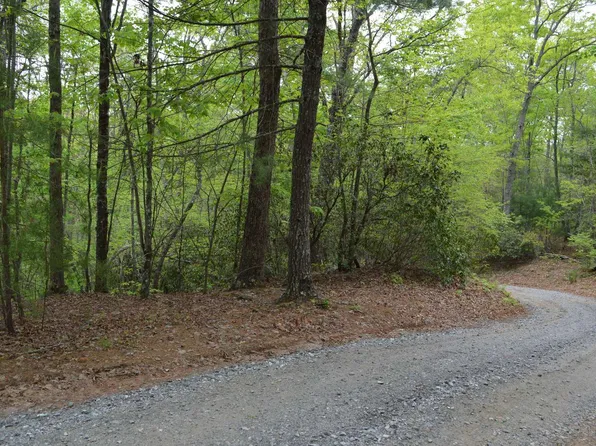 LOT 10 N Ridge Trl, Brasstown, NC 28902