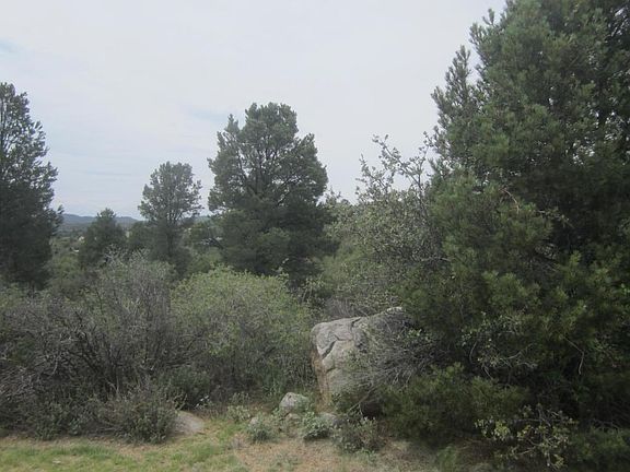 Trees and boulders!!