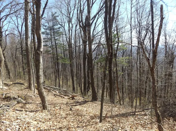 Mountaineer Way, Fancy Gap, VA 24328