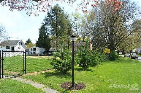 trees along side yard