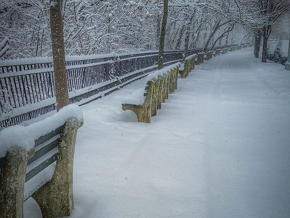 Shore Road Walk  3rd Avenue