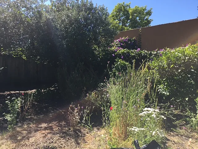 219 Peyton St — Photo 20
