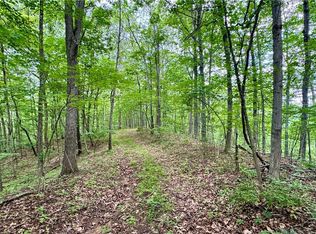 Noble Hill Rd, Pleasant City, OH 43772