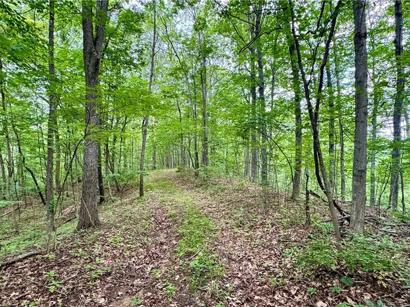 Noble Hill Rd, Pleasant City, OH 43772