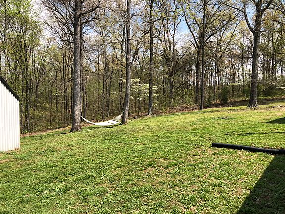 Back yard slopes to creek. 