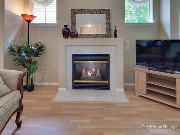 Cozy Gas Fireplace