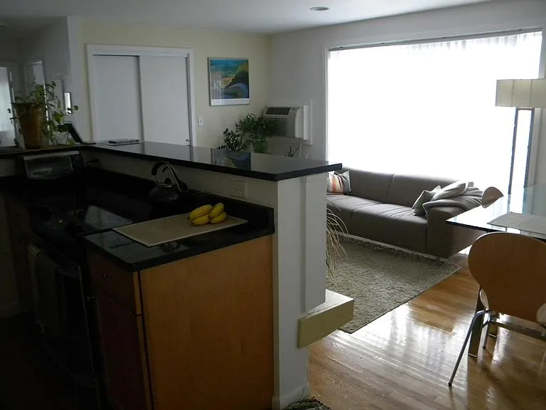 Kitchen/ LIving Rm