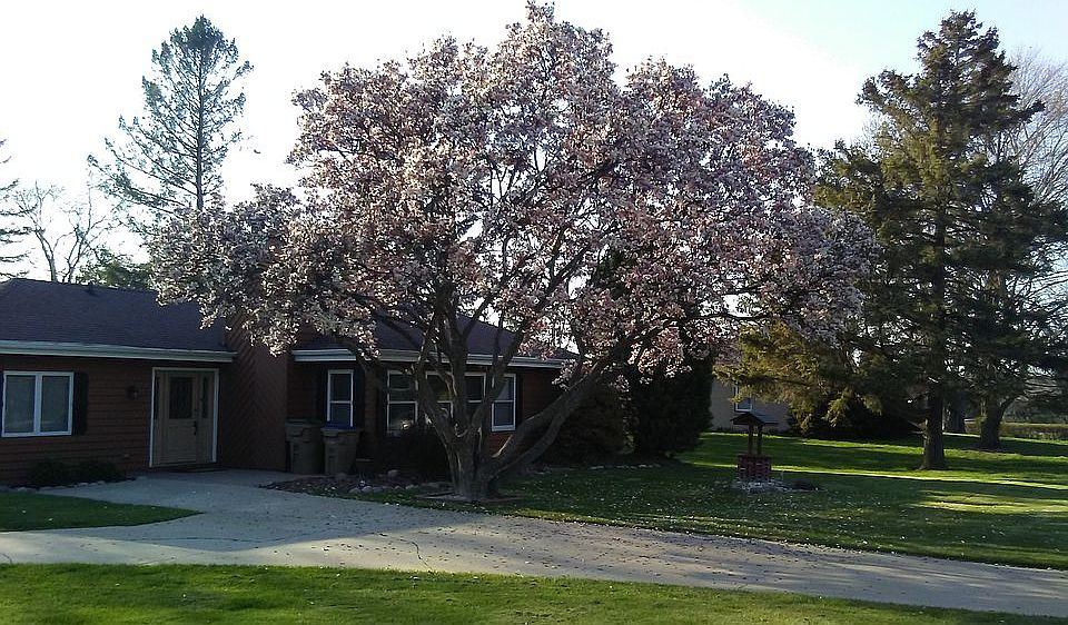 2nd image of 9006 39th Ave