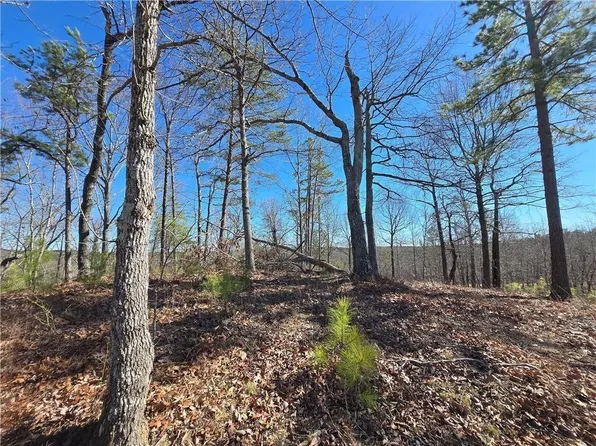 0 Brushy Mountain Rd #1, Rockmart, GA 30153