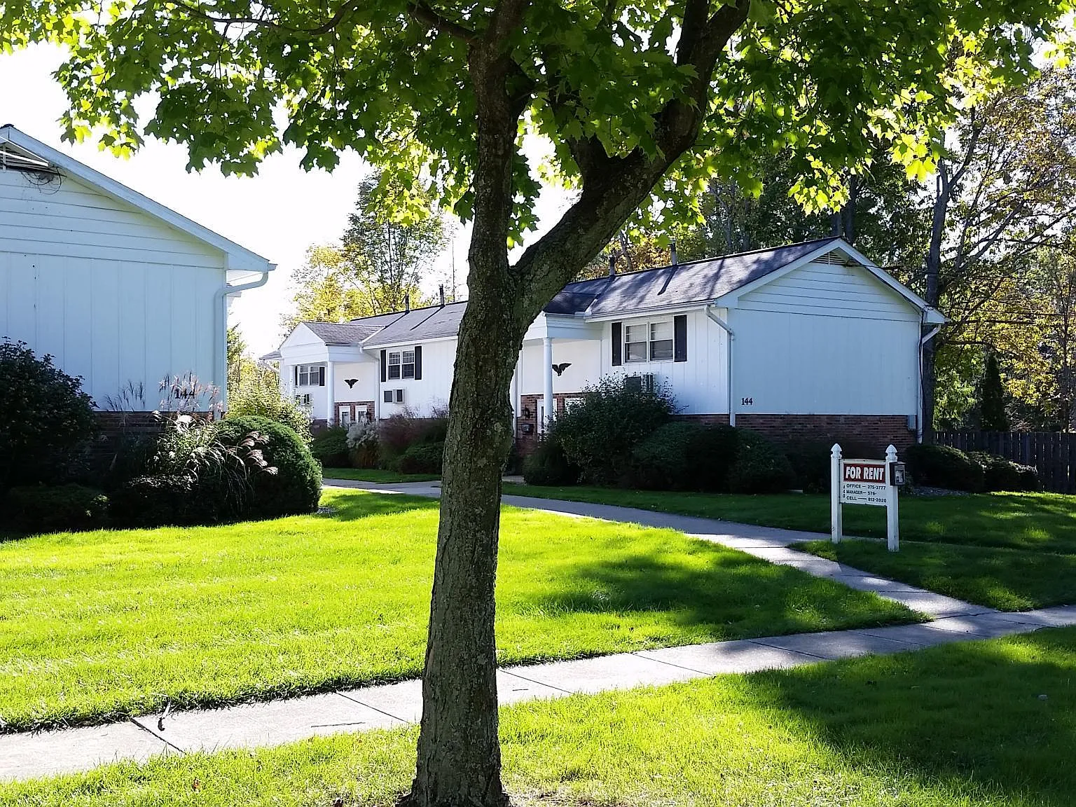 2 bed, 825 sqft, $970 — Photo 4