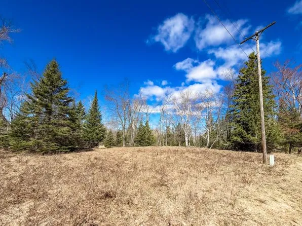 N Spruce Rd, Lincoln, MI 48742