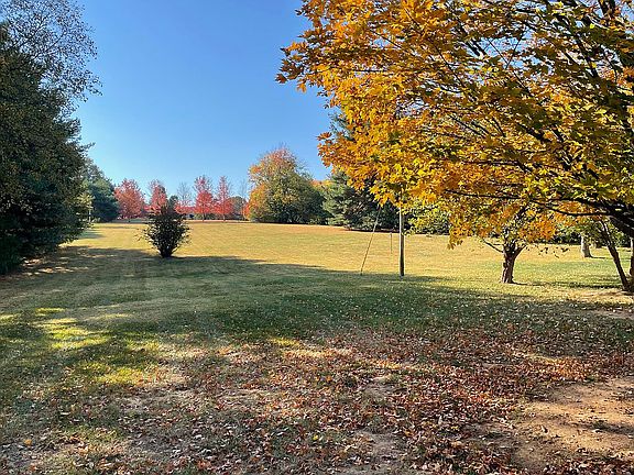 Backyard 2