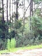 4th image of 0 Bay Dr Lot 51-52