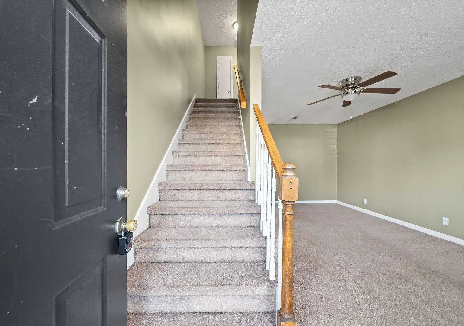 Caroline Dr - 2450 (x8) — Photo 3