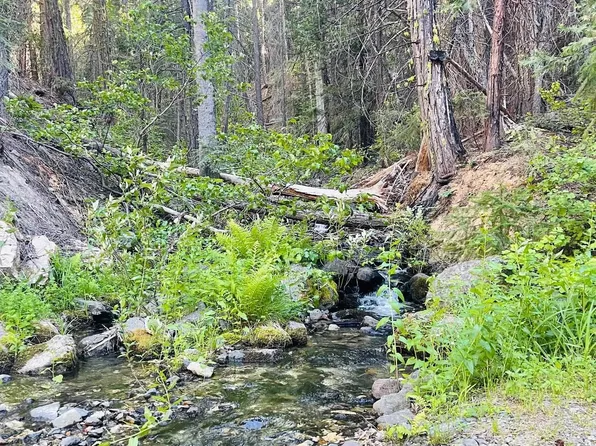 3050 Water Way, Clio, CA 96106