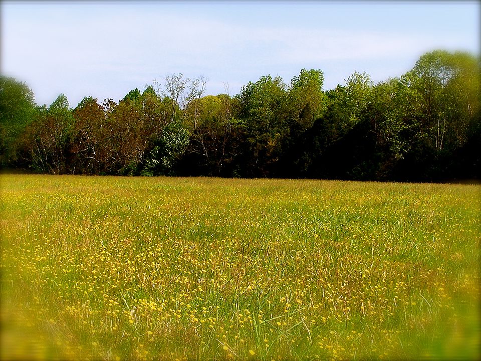 1st image of Cedar Creek Ln