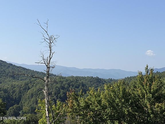 2nd image of 4228 Wears Valley Rd Lot 161&162