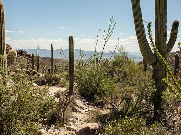 3rd image of 4425 W Cush Canyon Loop