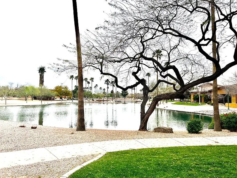 6535 E Superstition Springs Blvd #120 — Photo 4