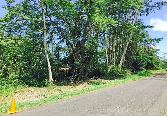 4th image of 15-618 Puni Mauka Loop N