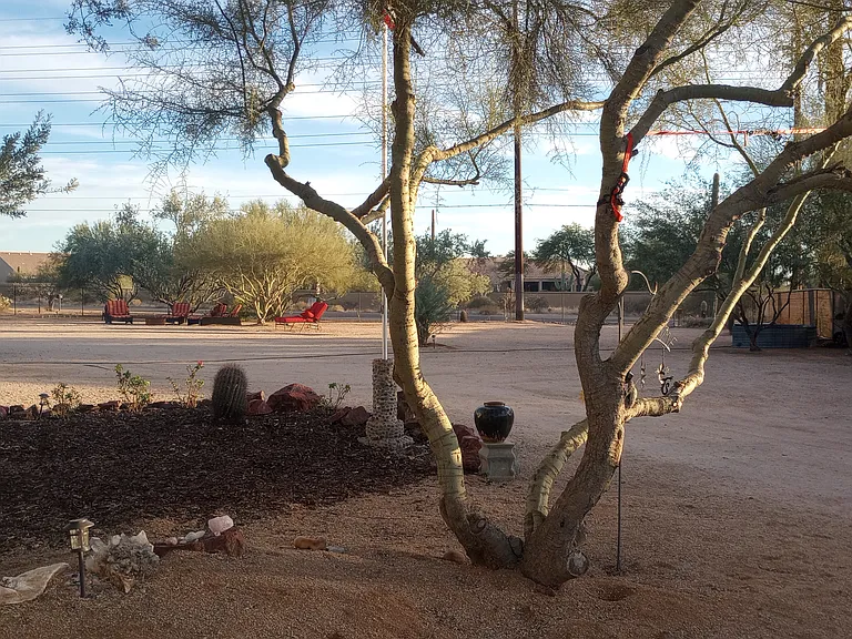 Always a nice cool shady spot somewhere on this property!