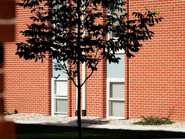 Village on Elizabeth — Photo 11