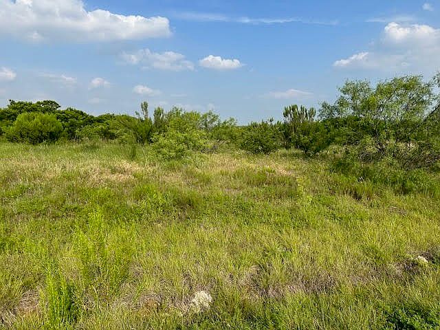 1st image of LOT 97 Canyon Wren S