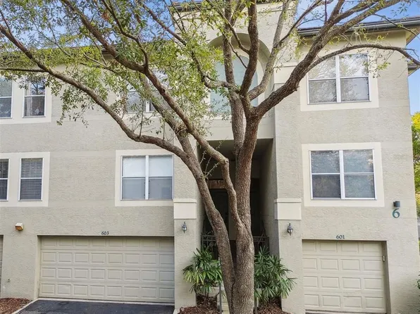 603 Tropical Breeze Way, Tampa, FL 33602