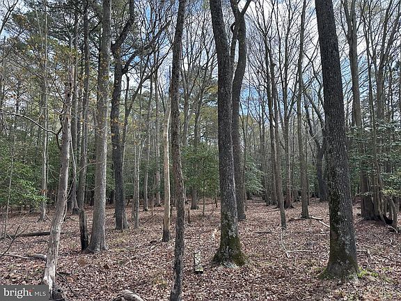 5th image of 31379 Boggs Rd