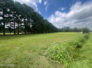 1 Edwards Store Rd, Mount Olive, NC 28365