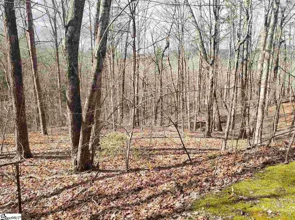 242 Luberon Ln, Travelers Rest, SC 29690
