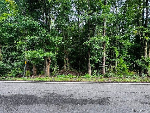 4th image of 343 Central Ave