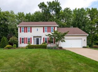 11292 Palmer Ln, Twinsburg, OH 44087
