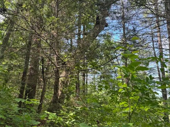 Tall Pines Way, Sevierville, TN 37876