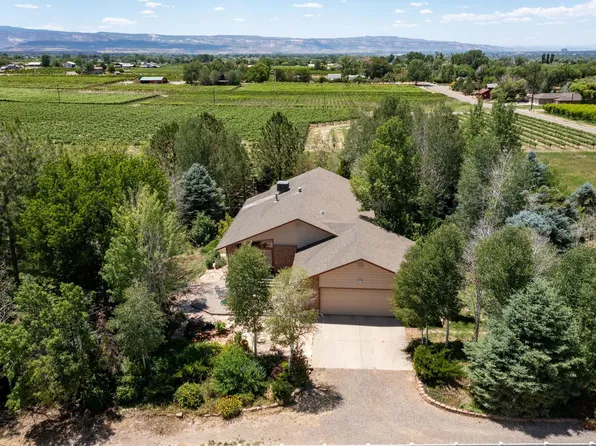 3337 C Rd, Palisade, CO 81526