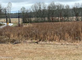 1 Old Hillsboro Rd, Forest, MS 39074