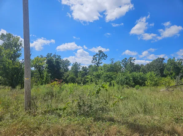 1169 County Road 2790, Mountain View, MO 65548