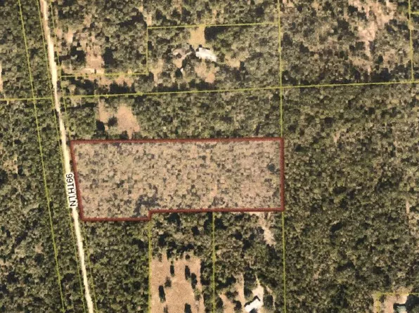 99th Ln, Mc Alpin, FL 32062