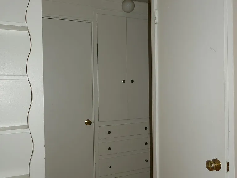from living room into the hallway - tons of storage!