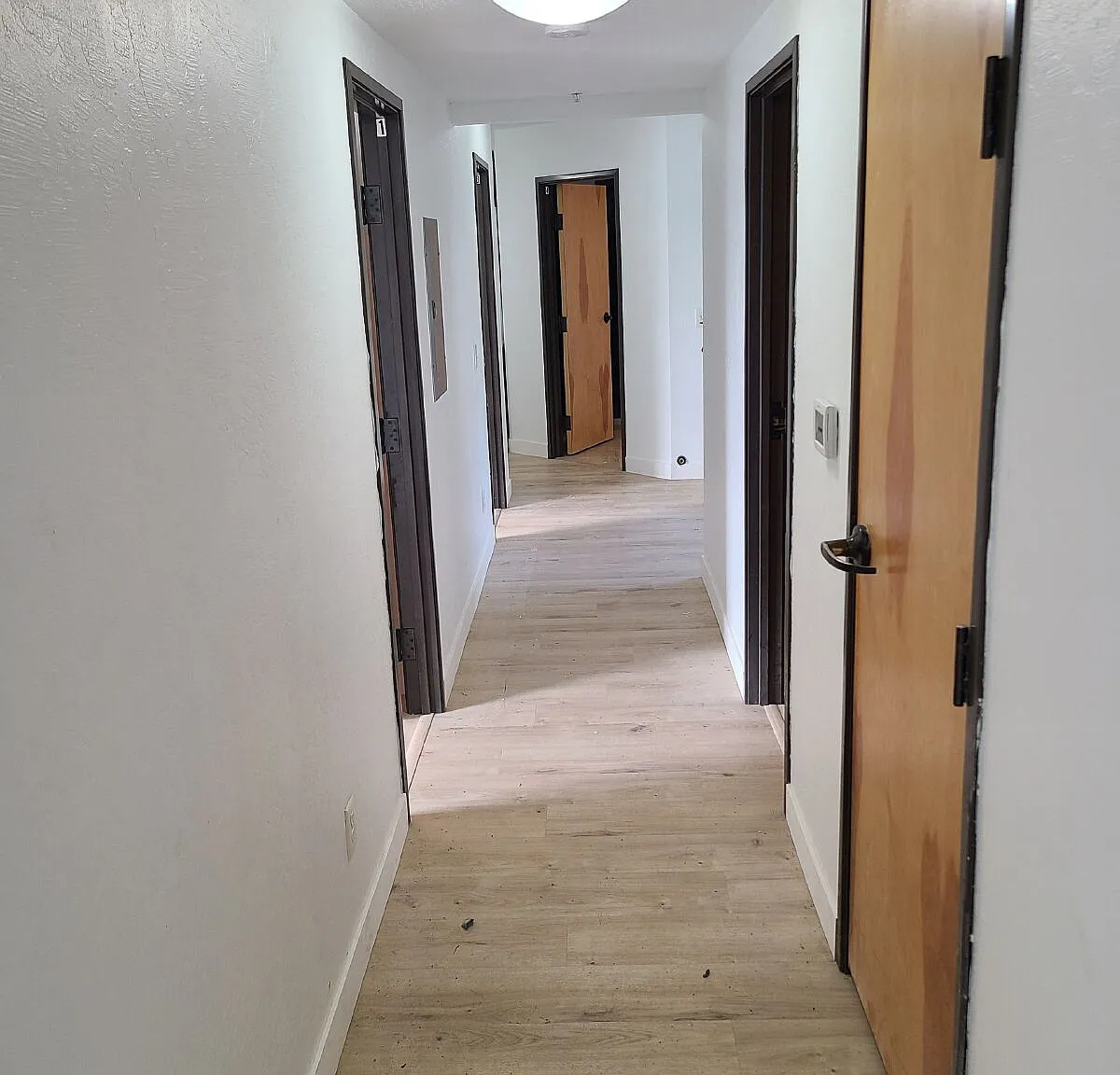 4 bed, 1.5 bath, $1,895 — Photo 3