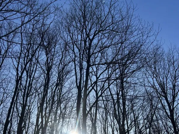 723 Wenatche Trl, Albrightsville, PA 18210