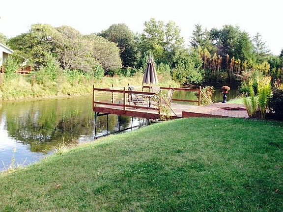 Back Yard & Deck