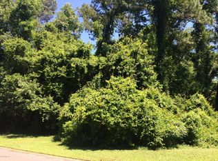 Swamp Fox Rd, Jacksonville, FL 32210