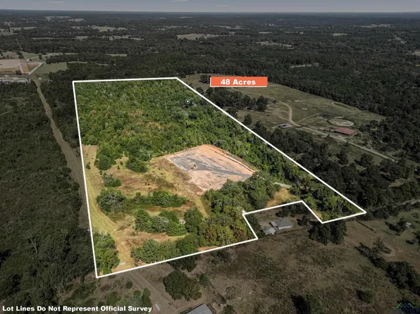 County Road 479d #48, Mount Enterprise, TX 75681